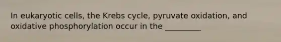 In <a href='https://www.questionai.com/knowledge/kb526cpm6R-eukaryotic-cells' class='anchor-knowledge'>eukaryotic cells</a>, the <a href='https://www.questionai.com/knowledge/kqfW58SNl2-krebs-cycle' class='anchor-knowledge'>krebs cycle</a>, pyruvate oxidation, and <a href='https://www.questionai.com/knowledge/kFazUb9IwO-oxidative-phosphorylation' class='anchor-knowledge'>oxidative phosphorylation</a> occur in the _________