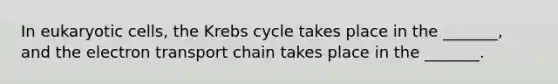 In eukaryotic cells, the Krebs cycle takes place in the _______, and the electron transport chain takes place in the _______.