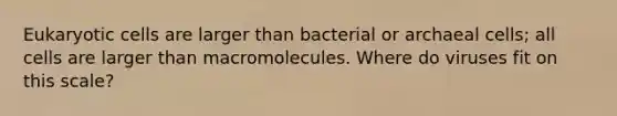 <a href='https://www.questionai.com/knowledge/kb526cpm6R-eukaryotic-cells' class='anchor-knowledge'>eukaryotic cells</a> are larger than bacterial or archaeal cells; all cells are larger than macromolecules. Where do viruses fit on this scale?