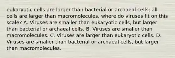 eukaryotic cells are larger than bacterial or archaeal cells; all cells are larger than macromolecules. where do viruses fit on this scale? A. Viruses are smaller than eukaryotic cells, but larger than bacterial or archaeal cells. B. Viruses are smaller than macromolecules. C. Viruses are larger than eukaryotic cells. D. Viruses are smaller than bacterial or archaeal cells, but larger than macromolecules.