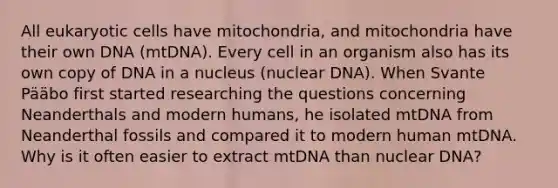 All <a href='https://www.questionai.com/knowledge/kb526cpm6R-eukaryotic-cells' class='anchor-knowledge'>eukaryotic cells</a> have mitochondria, and mitochondria have their own DNA (mtDNA). Every cell in an organism also has its own copy of DNA in a nucleus (nuclear DNA). When Svante Pääbo first started researching the questions concerning Neanderthals and modern humans, he isolated mtDNA from Neanderthal fossils and compared it to modern human mtDNA. Why is it often easier to extract mtDNA than nuclear DNA?