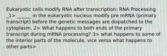 Eukaryotic cells modify RNA after transcription: RNA Processing _1> ______ in the eukaryotic nucleus modify pre mRNA (primary transcript) before the genetic messages are dispatched to the cytoplasm. 2> What happens to both ends of the primary transcript during mRNA processing? 3> what happens to some of the interior parts of the molecule, vice versa what happens to other parts>