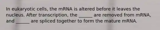 In eukaryotic cells, the mRNA is altered before it leaves the nucleus. After transcription, the ______ are removed from mRNA, and ______ are spliced together to form the mature mRNA.