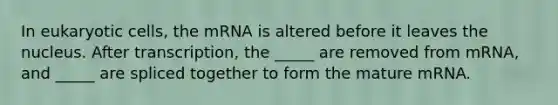 In <a href='https://www.questionai.com/knowledge/kb526cpm6R-eukaryotic-cells' class='anchor-knowledge'>eukaryotic cells</a>, the mRNA is altered before it leaves the nucleus. After transcription, the _____ are removed from mRNA, and _____ are spliced together to form the mature mRNA.