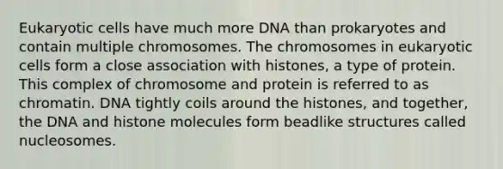 Eukaryotic cells have much more DNA than prokaryotes and contain multiple chromosomes. The chromosomes in eukaryotic cells form a close association with histones, a type of protein. This complex of chromosome and protein is referred to as chromatin. DNA tightly coils around the histones, and together, the DNA and histone molecules form beadlike structures called nucleosomes.