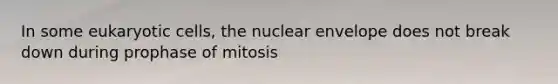 In some eukaryotic cells, the nuclear envelope does not break down during prophase of mitosis