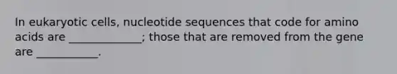 In eukaryotic cells, nucleotide sequences that code for amino acids are _____________; those that are removed from the gene are ___________.