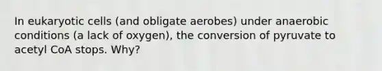 In eukaryotic cells (and obligate aerobes) under anaerobic conditions (a lack of oxygen), the conversion of pyruvate to acetyl CoA stops. Why?