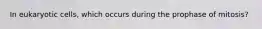 ​In eukaryotic cells, which occurs during the prophase of mitosis?