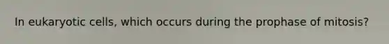 In eukaryotic cells, which occurs during the prophase of mitosis?