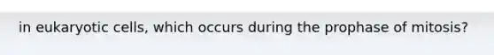 in eukaryotic cells, which occurs during the prophase of mitosis?