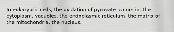 In eukaryotic cells, the oxidation of pyruvate occurs in: the cytoplasm. vacuoles. the endoplasmic reticulum. the matrix of the mitochondria. the nucleus.