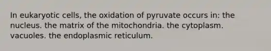 In <a href='https://www.questionai.com/knowledge/kb526cpm6R-eukaryotic-cells' class='anchor-knowledge'>eukaryotic cells</a>, the oxidation of pyruvate occurs in: the nucleus. the matrix of the mitochondria. the cytoplasm. vacuoles. the endoplasmic reticulum.