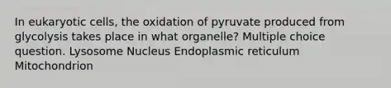 In <a href='https://www.questionai.com/knowledge/kb526cpm6R-eukaryotic-cells' class='anchor-knowledge'>eukaryotic cells</a>, the oxidation of pyruvate produced from glycolysis takes place in what organelle? Multiple choice question. Lysosome Nucleus Endoplasmic reticulum Mitochondrion