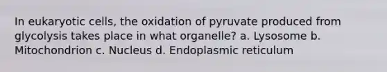 In eukaryotic cells, the oxidation of pyruvate produced from glycolysis takes place in what organelle? a. Lysosome b. Mitochondrion c. Nucleus d. Endoplasmic reticulum