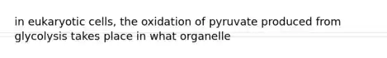 in eukaryotic cells, the oxidation of pyruvate produced from glycolysis takes place in what organelle