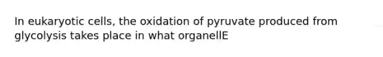 In eukaryotic cells, the oxidation of pyruvate produced from glycolysis takes place in what organellE