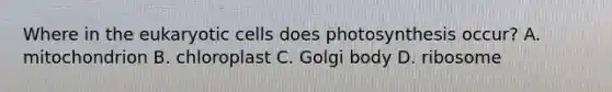 Where in the eukaryotic cells does photosynthesis occur? A. mitochondrion B. chloroplast C. Golgi body D. ribosome
