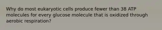 Why do most eukaryotic cells produce fewer than 38 ATP molecules for every glucose molecule that is oxidized through aerobic respiration?