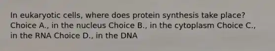 In eukaryotic cells, where does protein synthesis take place? Choice A., in the nucleus Choice B., in the cytoplasm Choice C., in the RNA Choice D., in the DNA