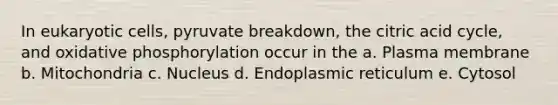 In eukaryotic cells, pyruvate breakdown, the citric acid cycle, and oxidative phosphorylation occur in the a. Plasma membrane b. Mitochondria c. Nucleus d. Endoplasmic reticulum e. Cytosol