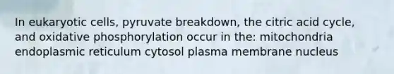 In eukaryotic cells, pyruvate breakdown, the citric acid cycle, and oxidative phosphorylation occur in the: mitochondria endoplasmic reticulum cytosol plasma membrane nucleus