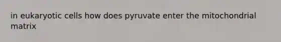 in eukaryotic cells how does pyruvate enter the mitochondrial matrix