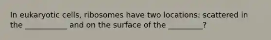 In eukaryotic cells, ribosomes have two locations: scattered in the ___________ and on the surface of the _________?