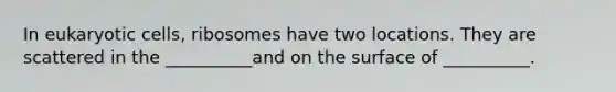 In eukaryotic cells, ribosomes have two locations. They are scattered in the __________and on the surface of __________.