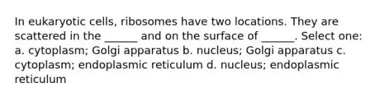 In eukaryotic cells, ribosomes have two locations. They are scattered in the ______ and on the surface of ______. Select one: a. cytoplasm; Golgi apparatus b. nucleus; Golgi apparatus c. cytoplasm; endoplasmic reticulum d. nucleus; endoplasmic reticulum