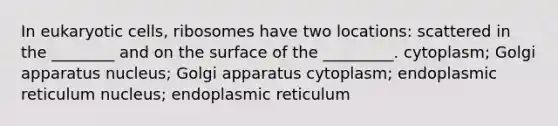 In eukaryotic cells, ribosomes have two locations: scattered in the ________ and on the surface of the _________. cytoplasm; Golgi apparatus nucleus; Golgi apparatus cytoplasm; endoplasmic reticulum nucleus; endoplasmic reticulum