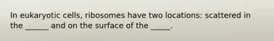 In eukaryotic cells, ribosomes have two locations: scattered in the ______ and on the surface of the _____.