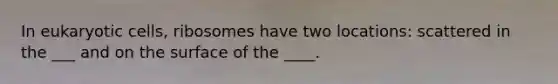 In eukaryotic cells, ribosomes have two locations: scattered in the ___ and on the surface of the ____.