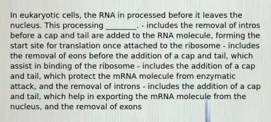 In eukaryotic cells, the RNA in processed before it leaves the nucleus. This processing ________. - includes the removal of intros before a cap and tail are added to the RNA molecule, forming the start site for translation once attached to the ribosome - includes the removal of eons before the addition of a cap and tail, which assist in binding of the ribosome - includes the addition of a cap and tail, which protect the mRNA molecule from enzymatic attack, and the removal of introns - includes the addition of a cap and tail, which help in exporting the mRNA molecule from the nucleus, and the removal of exons