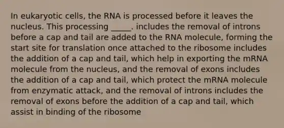 In eukaryotic cells, the RNA is processed before it leaves the nucleus. This processing _____. includes the removal of introns before a cap and tail are added to the RNA molecule, forming the start site for translation once attached to the ribosome includes the addition of a cap and tail, which help in exporting the mRNA molecule from the nucleus, and the removal of exons includes the addition of a cap and tail, which protect the mRNA molecule from enzymatic attack, and the removal of introns includes the removal of exons before the addition of a cap and tail, which assist in binding of the ribosome