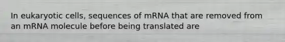 In eukaryotic cells, sequences of mRNA that are removed from an mRNA molecule before being translated are