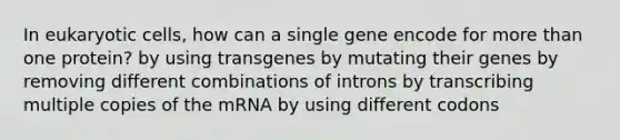 In eukaryotic cells, how can a single gene encode for more than one protein? by using transgenes by mutating their genes by removing different combinations of introns by transcribing multiple copies of the mRNA by using different codons