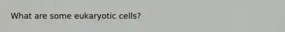 What are some <a href='https://www.questionai.com/knowledge/kb526cpm6R-eukaryotic-cells' class='anchor-knowledge'>eukaryotic cells</a>?