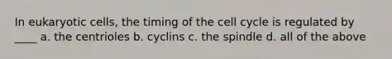 In <a href='https://www.questionai.com/knowledge/kb526cpm6R-eukaryotic-cells' class='anchor-knowledge'>eukaryotic cells</a>, the timing of the <a href='https://www.questionai.com/knowledge/keQNMM7c75-cell-cycle' class='anchor-knowledge'>cell cycle</a> is regulated by ____ a. the centrioles b. cyclins c. the spindle d. all of the above