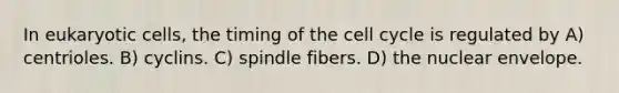 In eukaryotic cells, the timing of the cell cycle is regulated by A) centrioles. B) cyclins. C) spindle fibers. D) the nuclear envelope.