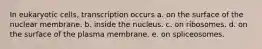 In eukaryotic cells, transcription occurs a. on the surface of the nuclear membrane. b. inside the nucleus. c. on ribosomes. d. on the surface of the plasma membrane. e. on spliceosomes.