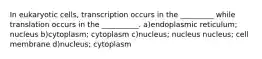 In eukaryotic cells, transcription occurs in the _________ while translation occurs in the __________. a)endoplasmic reticulum; nucleus b)cytoplasm; cytoplasm c)nucleus; nucleus nucleus; cell membrane d)nucleus; cytoplasm