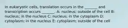 In eukaryotic cells, translation occurs in the _______ and transcription occurs _______. A: nucleus; outside of the cell B: nucleus; in the nucleus C: nucleus; in the cytoplasm D: cytoplasm; in the nucleus E: cytoplasm; outside of the cell