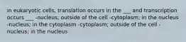 in eukaryotic cells, translation occurs in the ___ and transcription occurs ___ -nucleus; outside of the cell -cytoplasm; in the nucleus -nucleus; in the cytoplasm -cytoplasm; outside of the cell -nucleus; in the nucleus