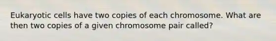 Eukaryotic cells have two copies of each chromosome. What are then two copies of a given chromosome pair called?