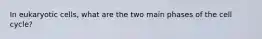 In eukaryotic cells, what are the two main phases of the cell cycle?