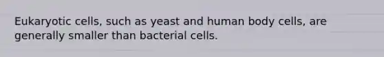 Eukaryotic cells, such as yeast and human body cells, are generally smaller than bacterial cells.