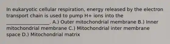 In eukaryotic cellular respiration, energy released by the electron transport chain is used to pump H+ ions into the __________________. A.) Outer mitochondrial membrane B.) Inner mitochondrial membrane C.) Mitochondrial inter membrane space D.) Mitochondrial matrix