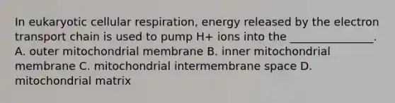 In eukaryotic cellular respiration, energy released by the electron transport chain is used to pump H+ ions into the _______________. A. outer mitochondrial membrane B. inner mitochondrial membrane C. mitochondrial intermembrane space D. mitochondrial matrix