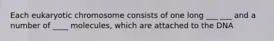 Each eukaryotic chromosome consists of one long ___ ___ and a number of ____ molecules, which are attached to the DNA